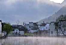 四川惊现千万斤鲟鱼大流量，生态奇观背后的深层启示