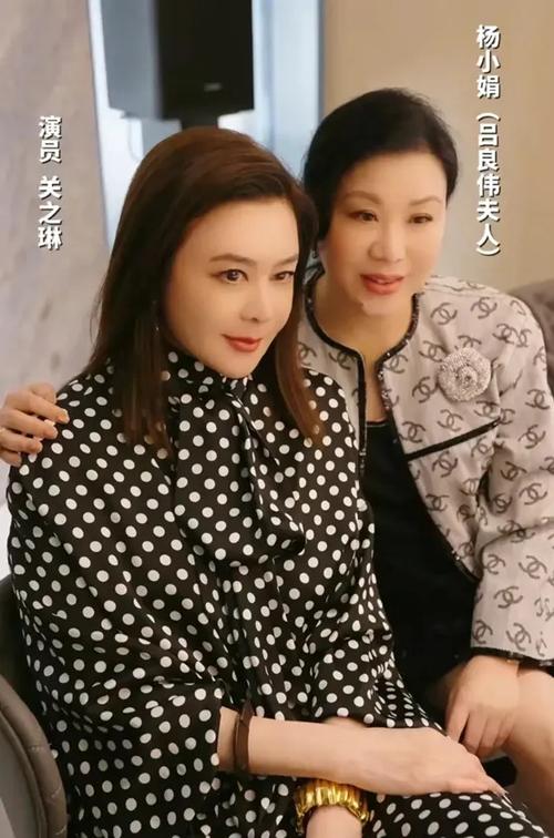 向太答谢宴李连杰的坚韧与郭碧婷家庭的温馨瞬间