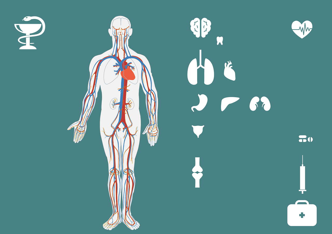 男生心脏骤停，同学教科书式急救——一次紧急救援的生动纪实